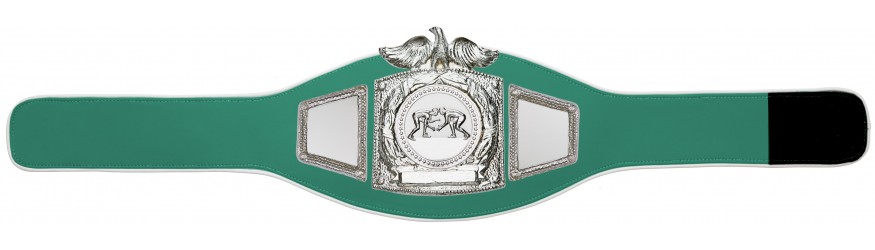 PROEAGLE GRAPPLING CHAMPIONSHIP BELT - PROEAGLE/S/GRAPS - AVAILABLE IN 6+ COLOURS